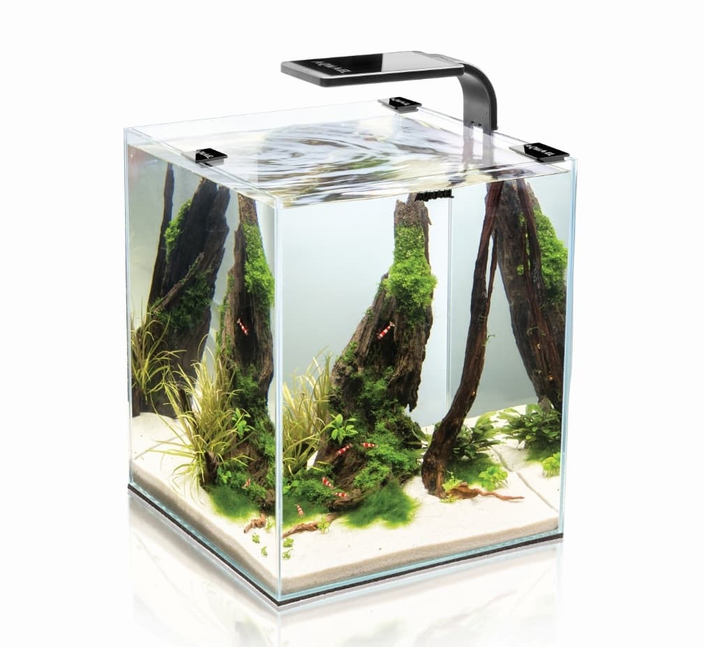 Аквариум Smart 20 black / LED лампа 25х25х30см / 19л