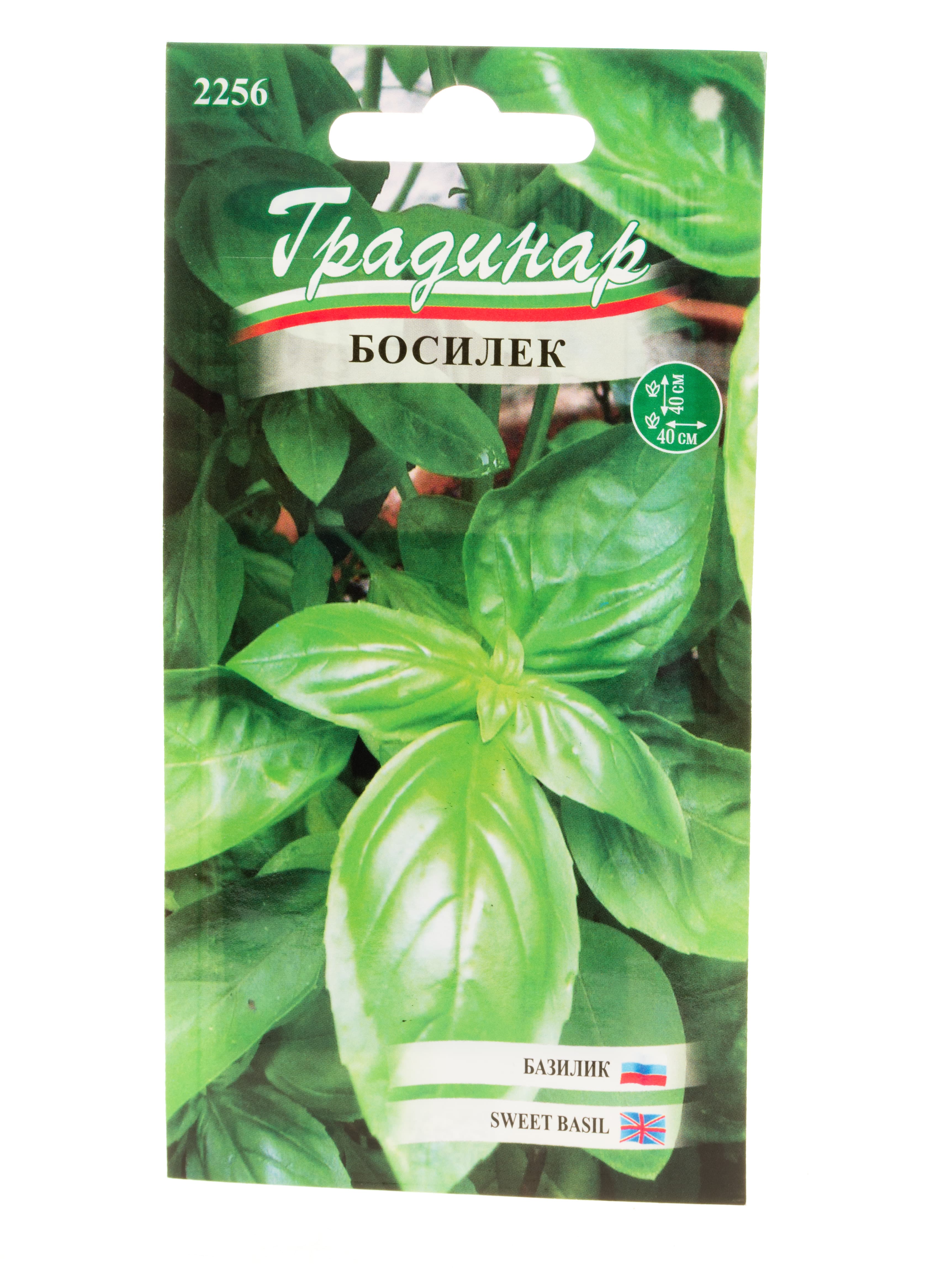 Семена за босилек