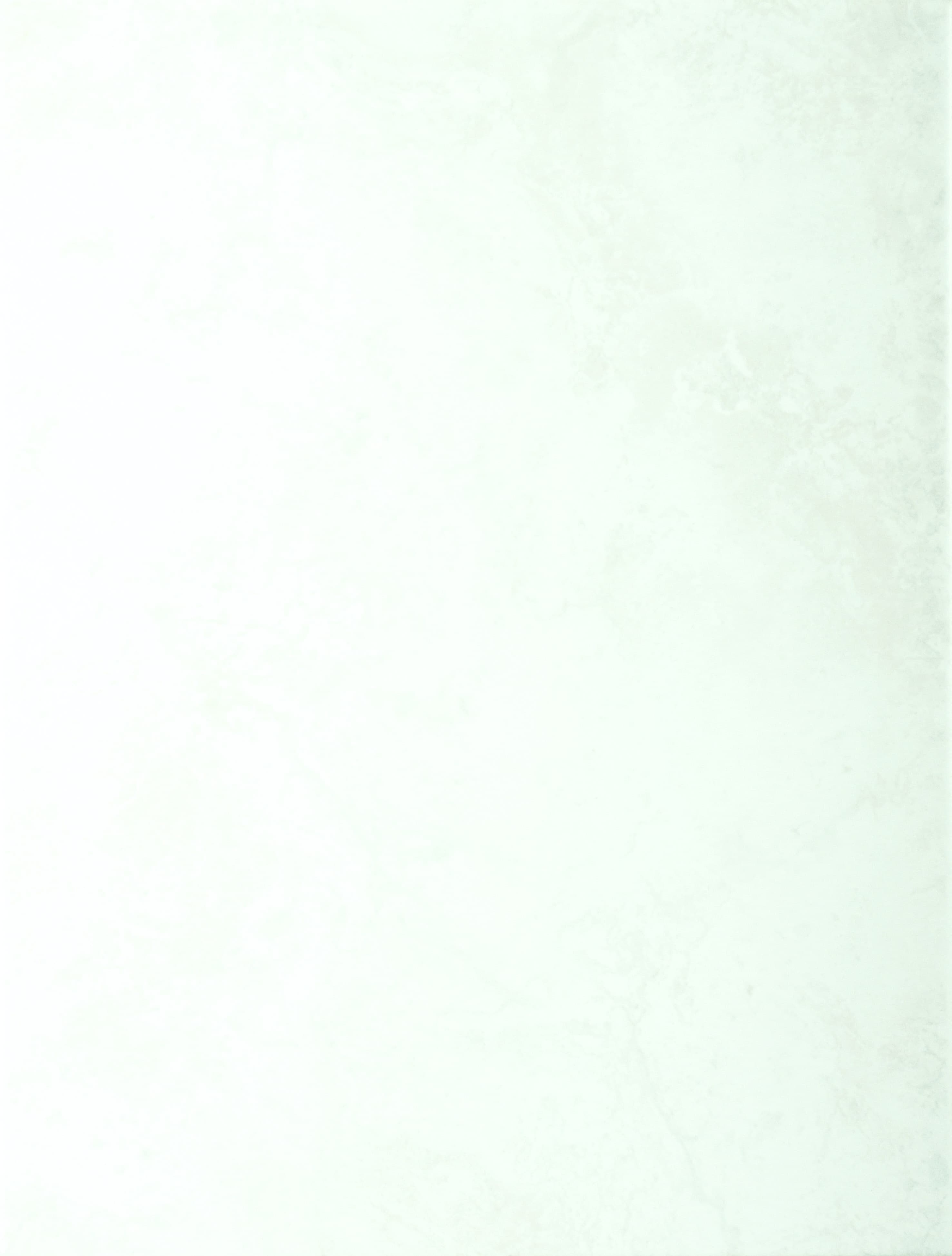 Стенни плочки KAI Хелена светлосиви 250x330мм 