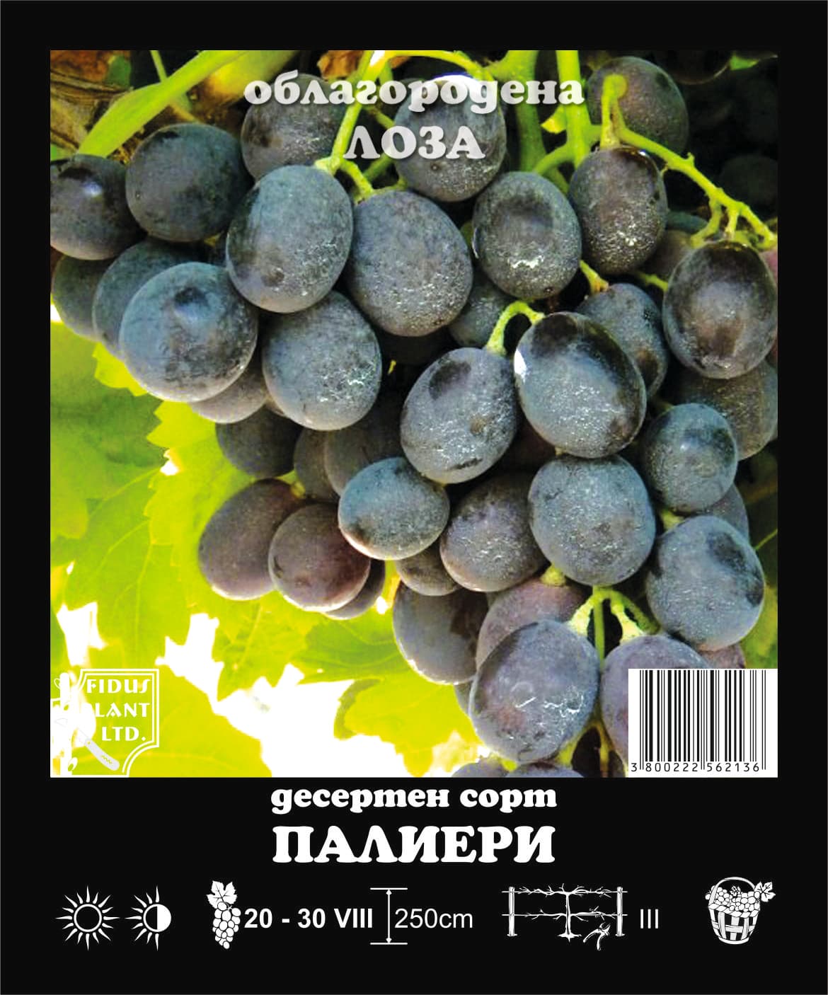 ЛОЗА-ПАЛИЕРИ