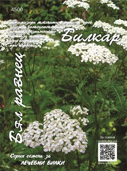 Семена за лечебни билки Бял равнец 