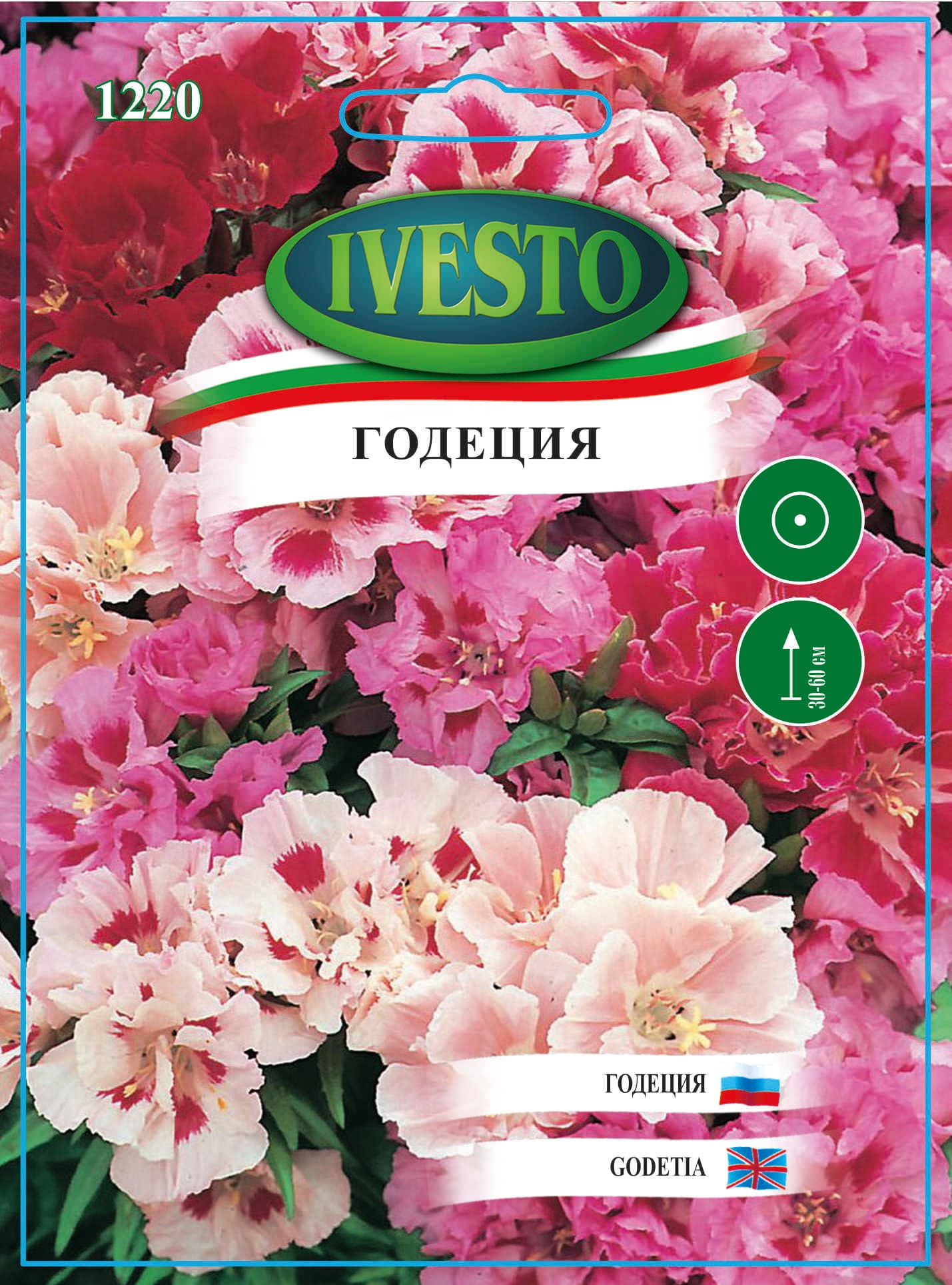 Семена  Годеция 1220