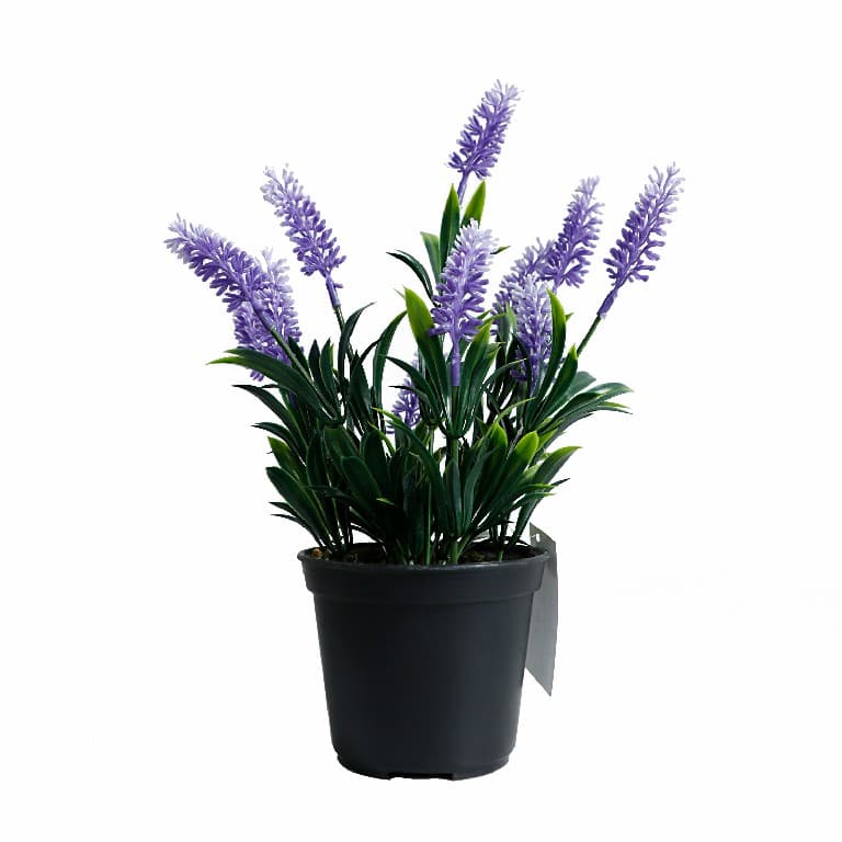 Изкуствено цвете My Garden KВ-024Р Бонсай 30см