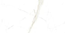 Гранитогрес Neo Calakatta Gold 60x120 см