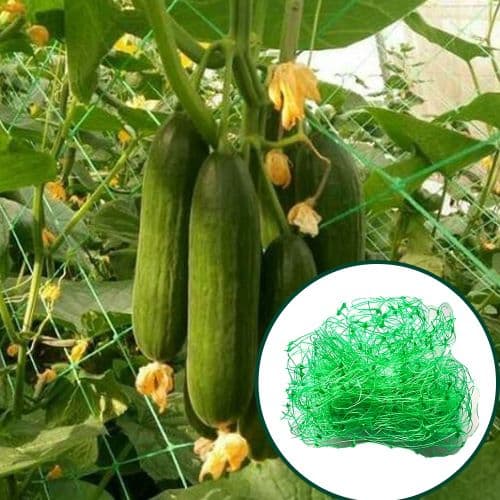 Поддържаща мрежа за пълзящи растения My Garden 1.7х5м