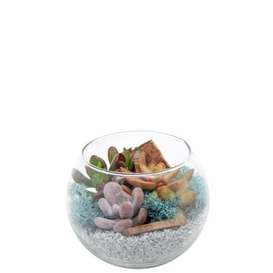 Стъклена аранжировка кактус Cactus glass