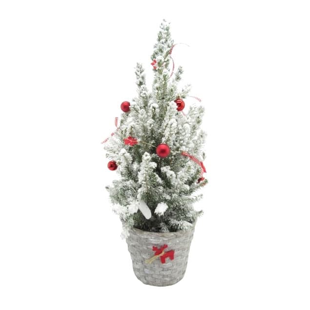 Коледно дръвче Picea glauca Conica LED SN 65см