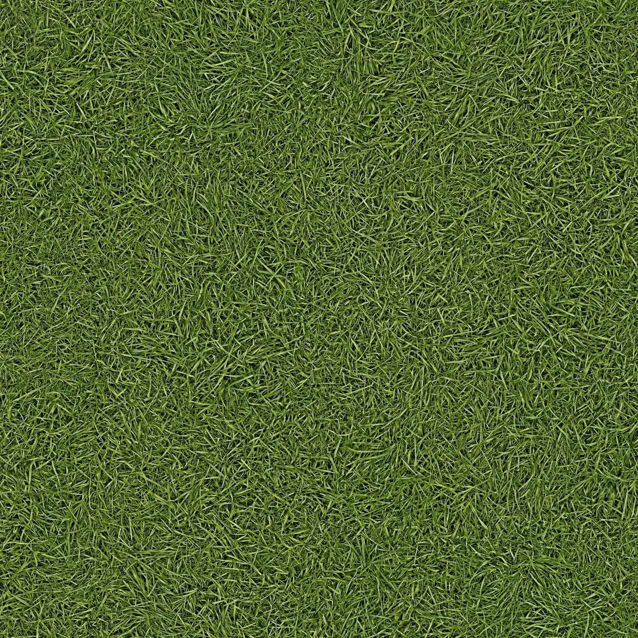 Балатум Artifact Grass 025 ширина 4м