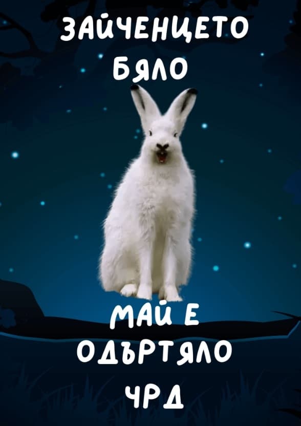 Картичка Зайченцето бяло май е одъртяло