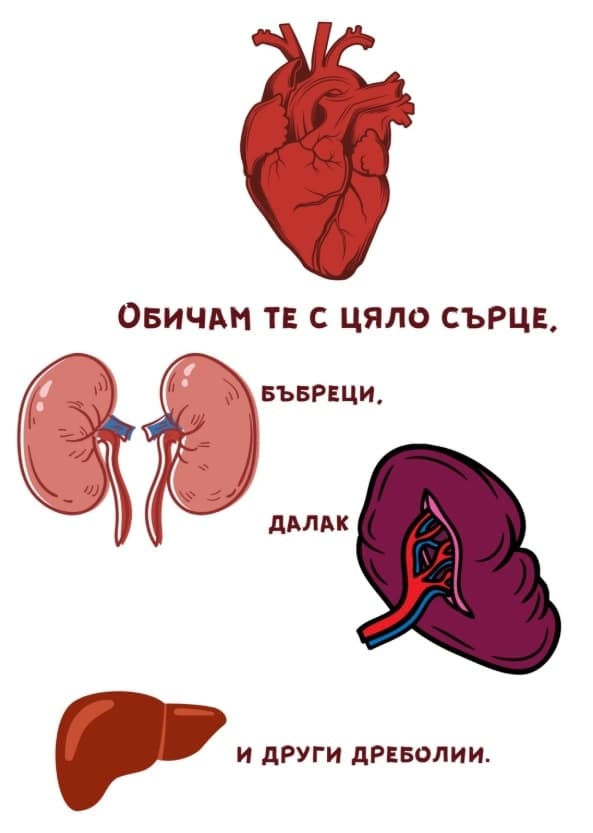 Картичка Обичам те с цяло сърце бъбреци и далак