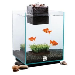 Аквариум Hagen Fluval CHi
