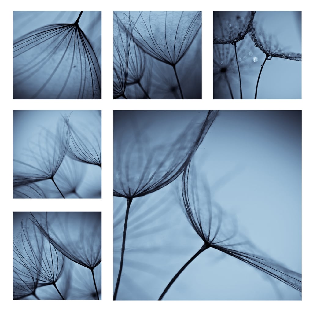 Картина Glass Art KGLS-1063 Глухарче с капки вода 40x40 см