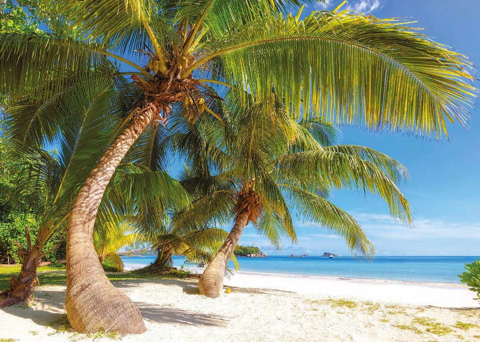 Фототапет Prestige 53 / 272х196см море