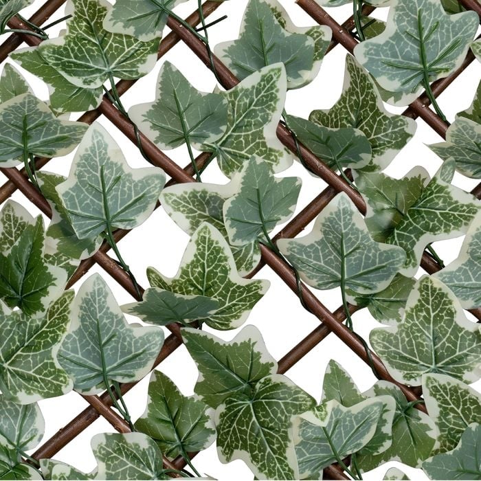 Декоративна ограда от бяло-зелен бръшлян My Garden IVY White Green РЕVA 90х180см