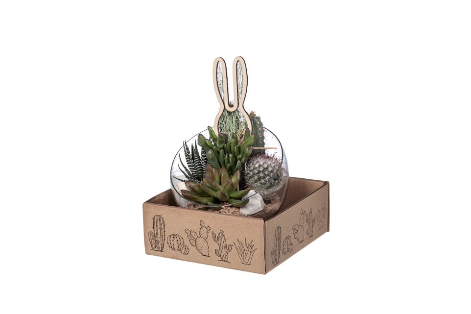 Стъклена аранжировка кактус Cactus glass С16