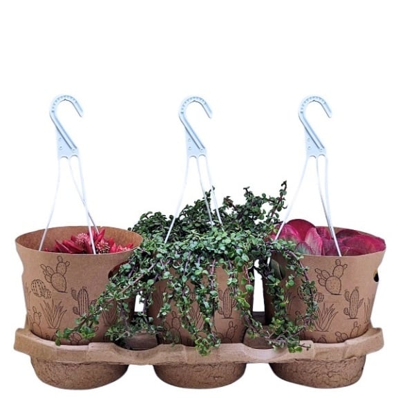 Кошница Basket Cactus С16