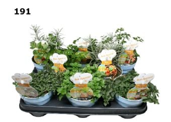 Италиански билки микс Italian herbs mix C12