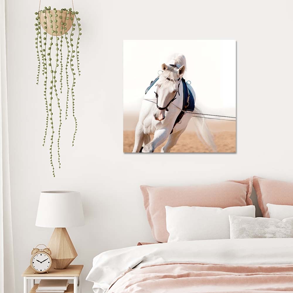 Картина Premium Canvas LM0050 / 70x70 см